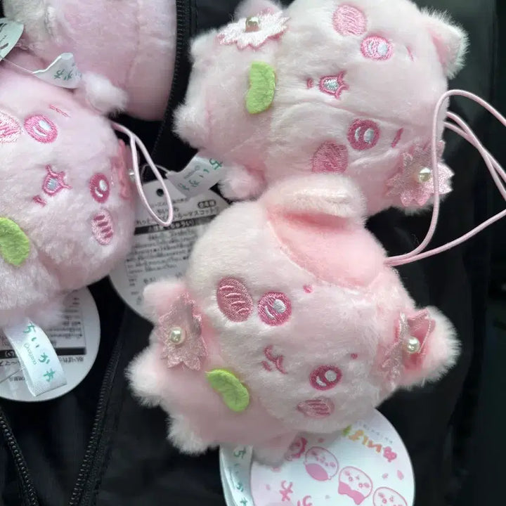 [BUNJANG] Chiikawa Sakura Cherry Blossom Edition Hachiware New Product / 치이카와 사쿠라 벚꽃 에디션 하치와레 새상품