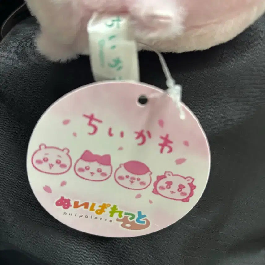 [BUNJANG] Chiikawa Sakura Cherry Blossom Edition Hachiware New Product / 치이카와 사쿠라 벚꽃 에디션 하치와레 새상품