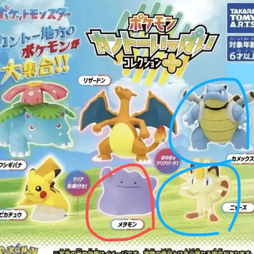 [BUNJANG] Kanto Region Gacha (Turtwig/Meowth) / 교환&amp;판매) 관동지방 가챠 (거북왕/나옹)