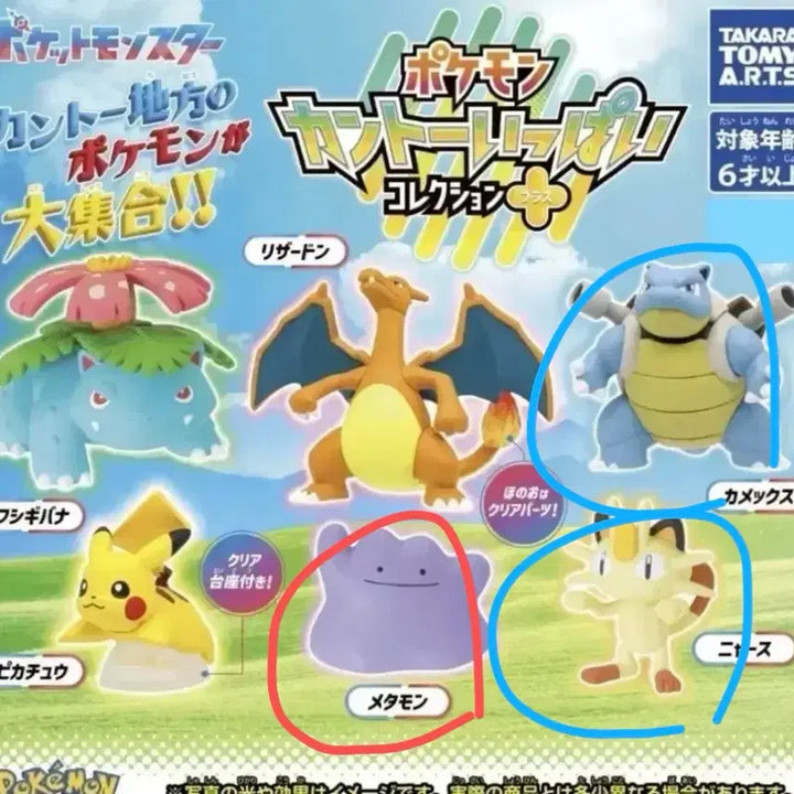 [BUNJANG] Kanto Region Gacha (Turtwig/Meowth) / 교환&amp;판매) 관동지방 가챠 (거북왕/나옹)