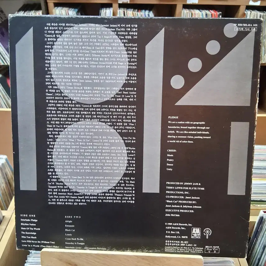 [BUNJANG] Janet Jackson Rhythm Nation 1814 LP / 자넷 잭슨 RHYTHM NATION 1814 LP