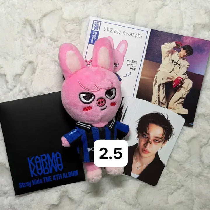 [BUNJANG] Stray Kids Changbin Dwaekki Karmar Carnival Plush Doll / 스트레이키즈 돼끼 창빈 스키주인형  카르마 세레머니앨범 인형 양도판매포카