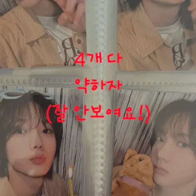 [BUNJANG] BOYNEXTDOOR Sung Ho &amp; Tae San Photocard / 보넥도 성호 태산 포카 판매! (선제시)
