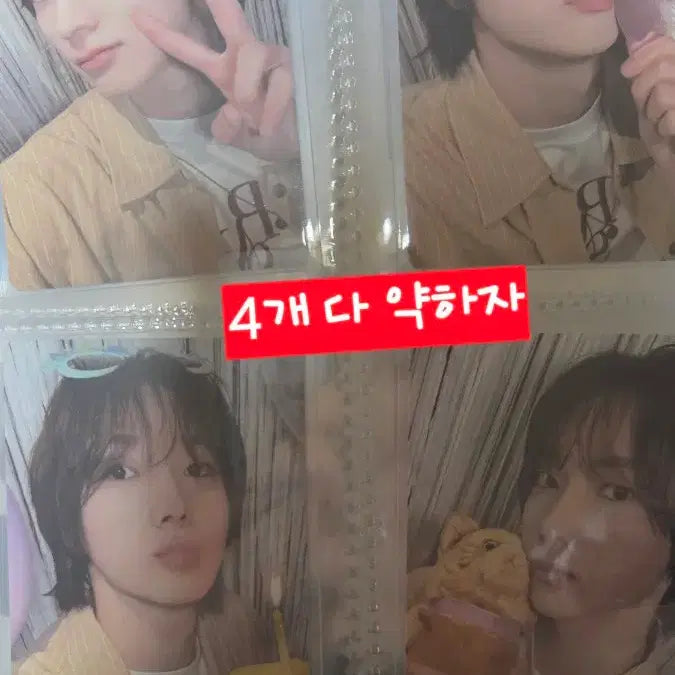 [BUNJANG] BOYNEXTDOOR Sung Ho &amp; Tae San Photocard / 보넥도 성호 태산 포카 판매! (선제시)