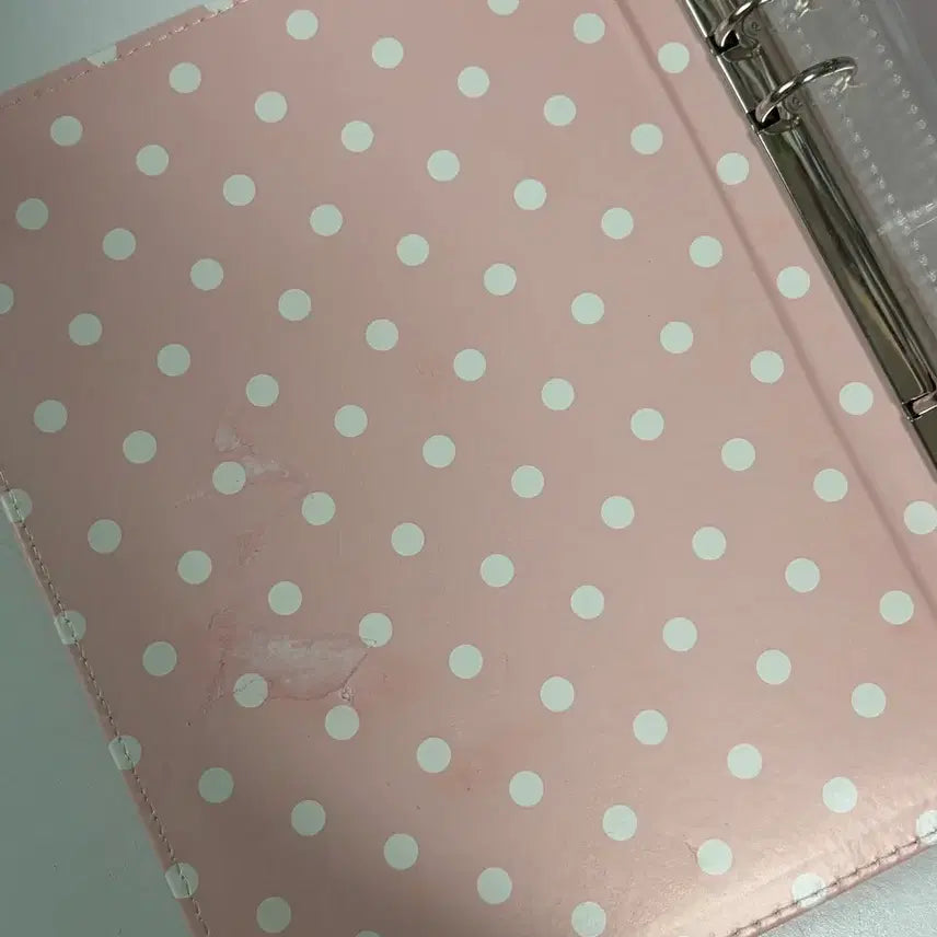 [BUNJANG] A5 Macaron Binder (10 Pages) / A5 마카롱 바인더 (속지 10장