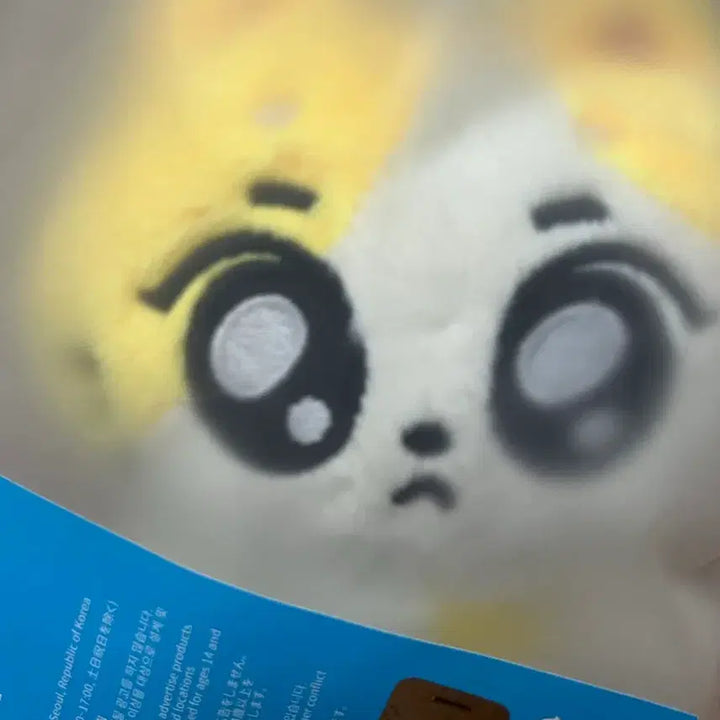[BUNJANG] Enhypen Jungwon Want You Plush Keychain Doll / 엔하이픈 정원 원츄 플러시 키링 인형 현물 양도