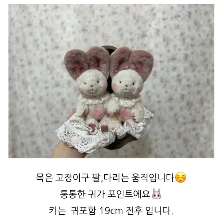 [BUNJANG] Author Shinbi&