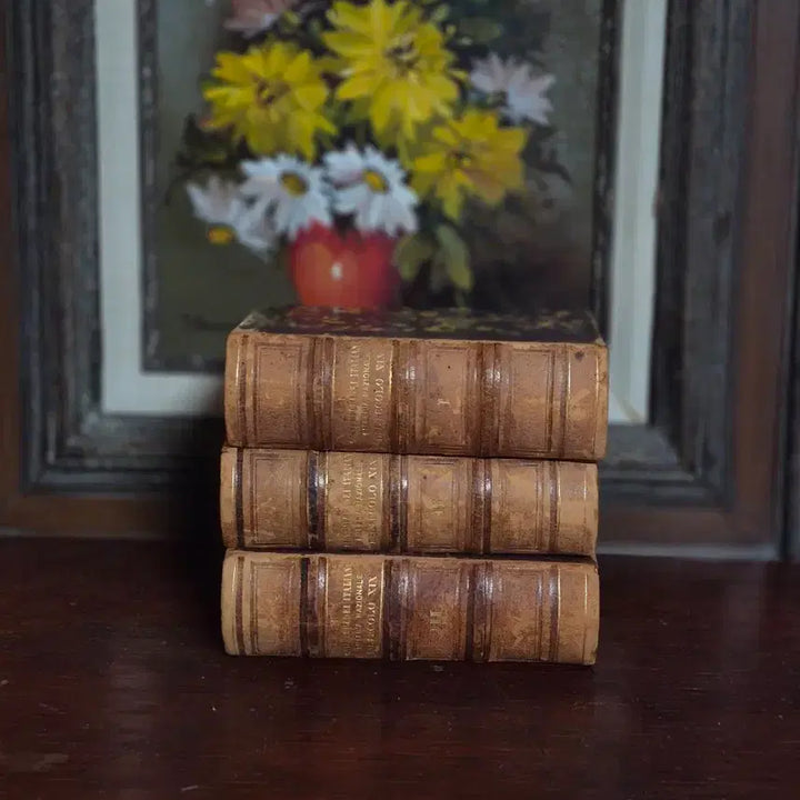 [BUNJANG] Antique Mini Leather Books (Set of 3) / 19세기 이탈리아 문학 앤틱 미니북 3권