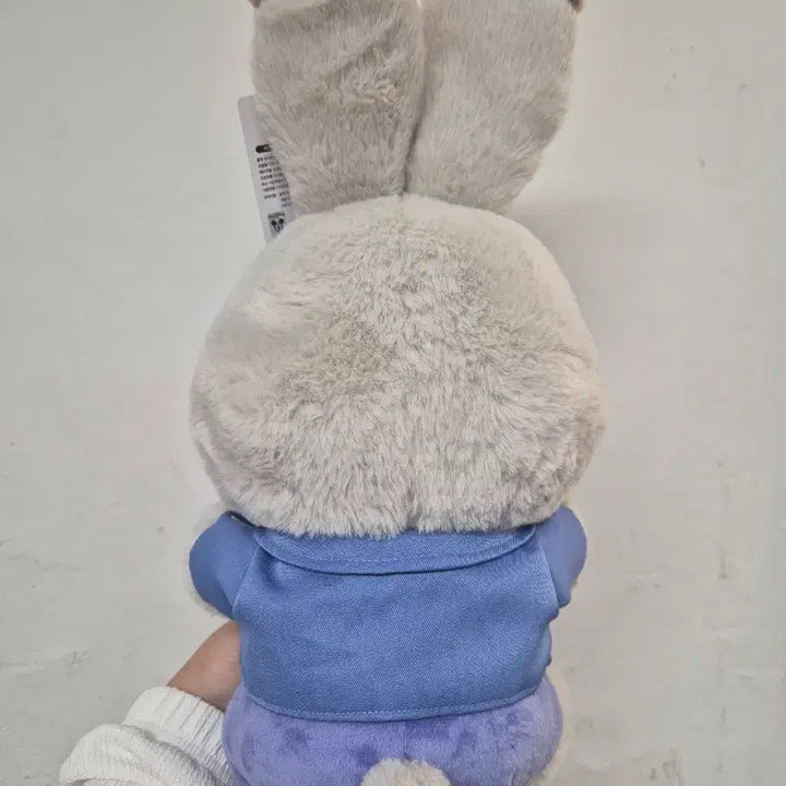 [BUNJANG] Zootopia Judy Hopps Photo Frame Doll / 주토피아2 쥬디 인형 사진프레임
