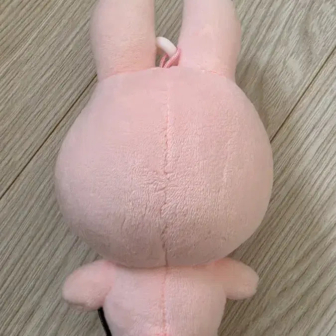 [BUNJANG] DAY6 Wonpil Dennimals Phil Plush / 데이식스 원필 2024 데니멀즈 필