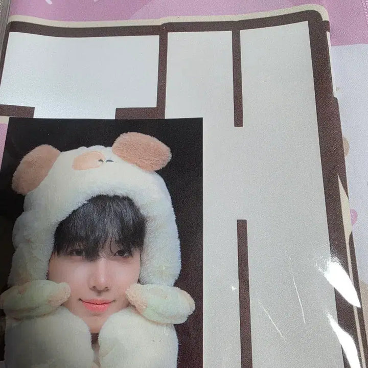 [BUNJANG] Boyfriend (B.D.N.T.) Merchandise / 보넥도 굿즈 양도합니다