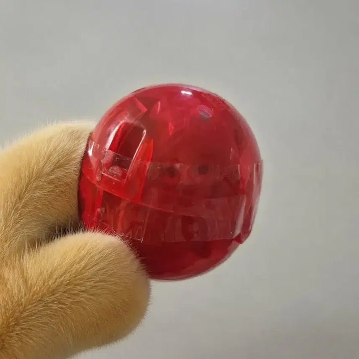 [BUNJANG] Frieren: Beyond Journey&