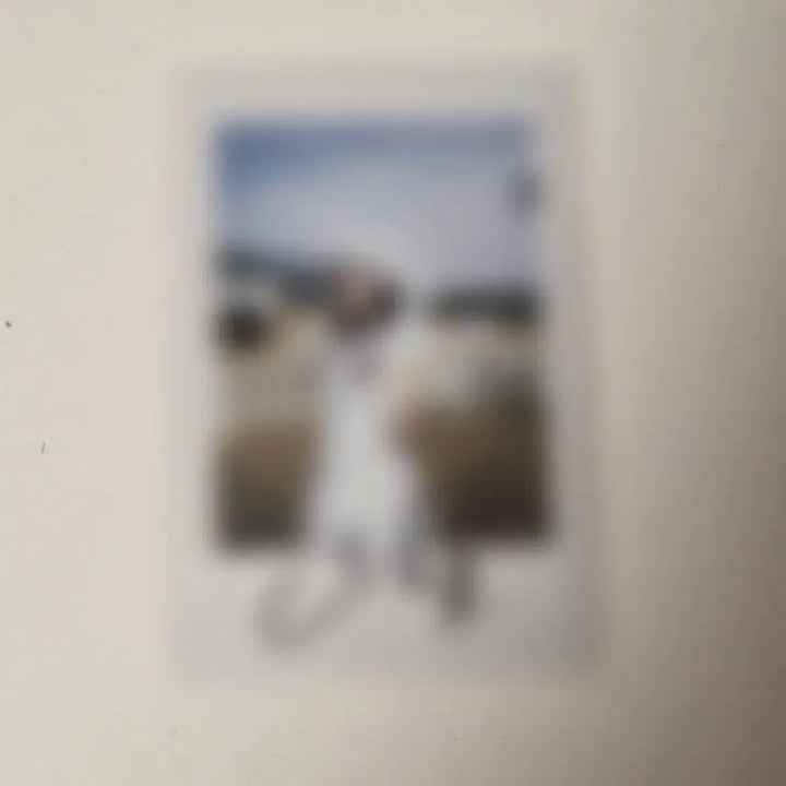 [BUNJANG] QWER Siyeon Signed Ceremony Polaroid / QWER 시연 시요밍 세레모니 싸인 폴라 싸폴 폴라로이드