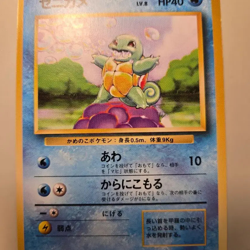 [BUNJANG] Pokemon Card Japanese 1st Edition Old Back Bundle Set / 포켓몬카드 일판 초판 올드백 4개 일괄판매