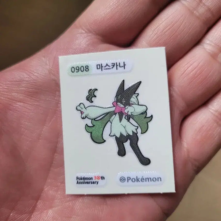 [BUNJANG] Pokemon Card Collection Bundle / 포켓몬 카드모음.