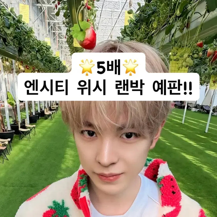 [BUNJANG] NCT WISH 5x Random Box / 엔시티 위시 5배 랜박!