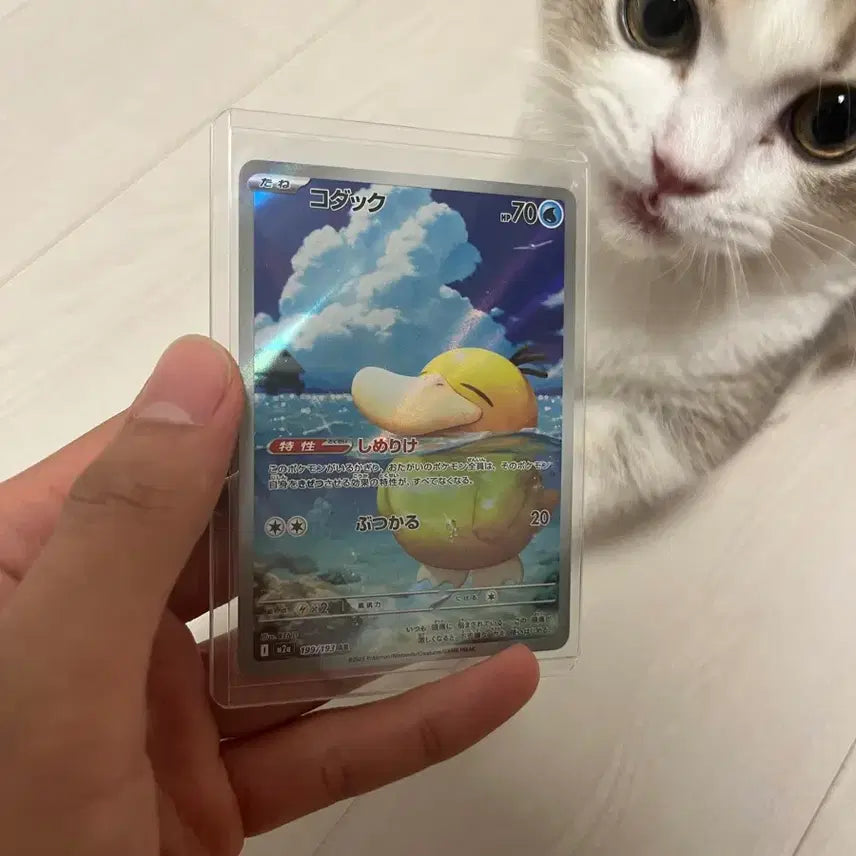 [BUNJANG] Pokemon Card GouraPachyderm AR Japanese Version / (방금 뽑은) 일판 ar 고라파덕 판매합니다.