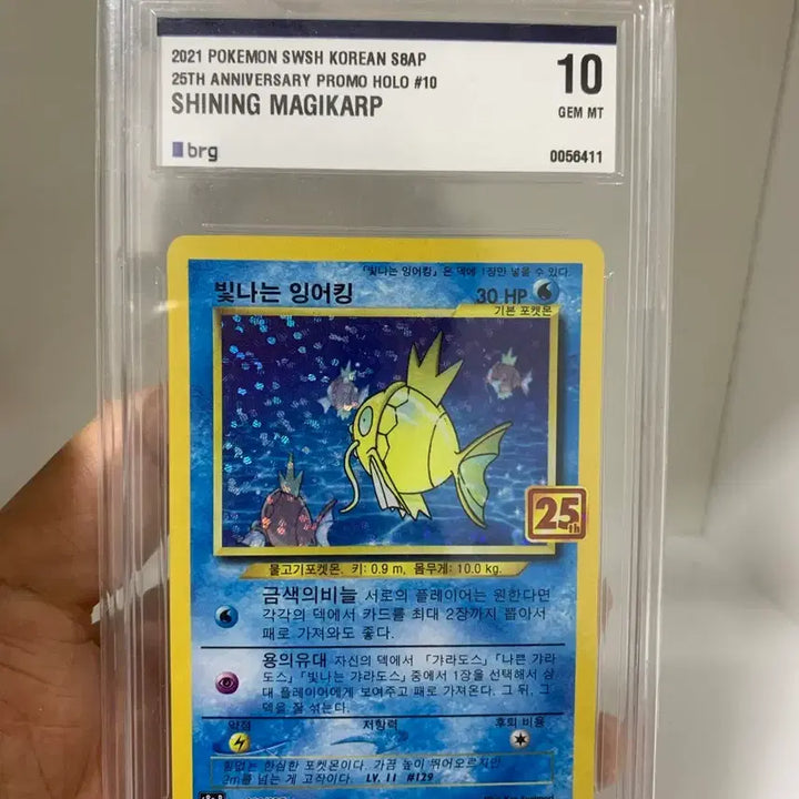[BUNJANG] Pokemon Magikarp 25th Anniversary Card / 포켓몬카드 잉어킹 25주년 brg10