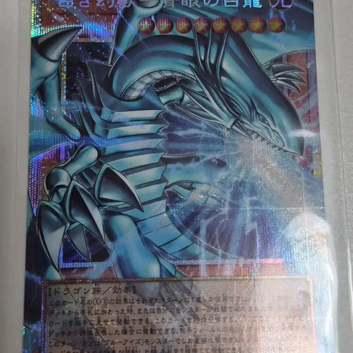 [BUNJANG] Blue-Eyes White Dragon Over Frame Quarter Century Secret Rare / [최종가격인하] 일판 푸른 눈의 백룡 오버프레임 쿼식
