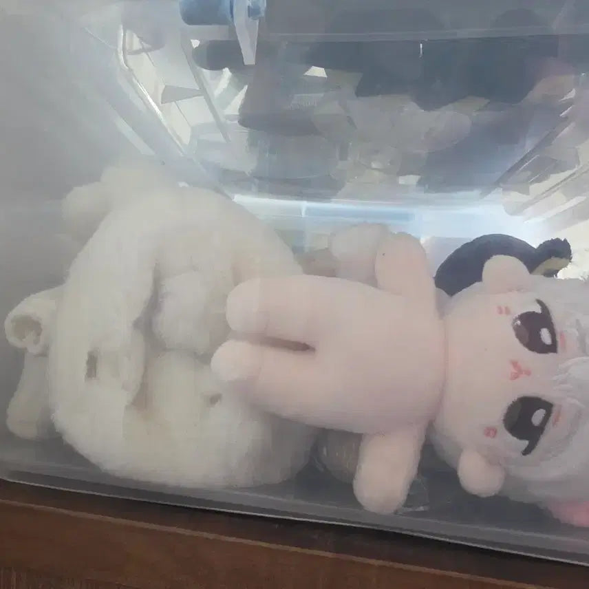 [BUNJANG] Sikorg Testa Demutjuc Unofficial Doll / 시고르 테스타 데못죽 비공식 인형