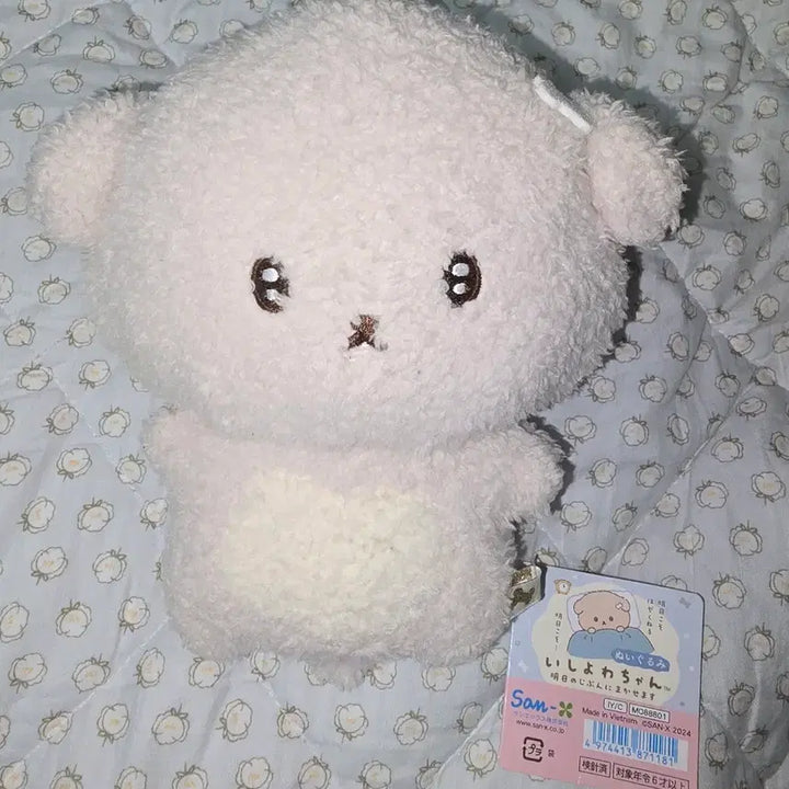 [BUNJANG] San-X Shirokurochan Medium Plush Doll / 산엑스 이시요와짱 중형 인형 누이