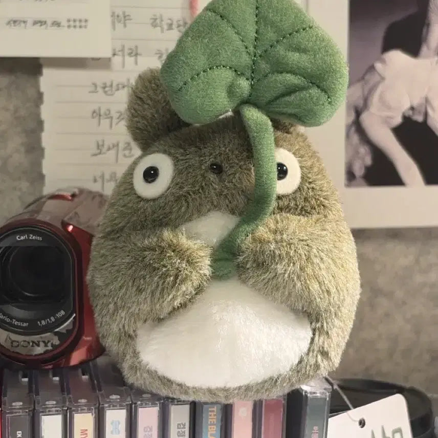 [BUNJANG] Ghibli My Neighbor Totoro Sprouts Ozami Plush / 지브리 이웃집 토토로 새싹 오자미 인형