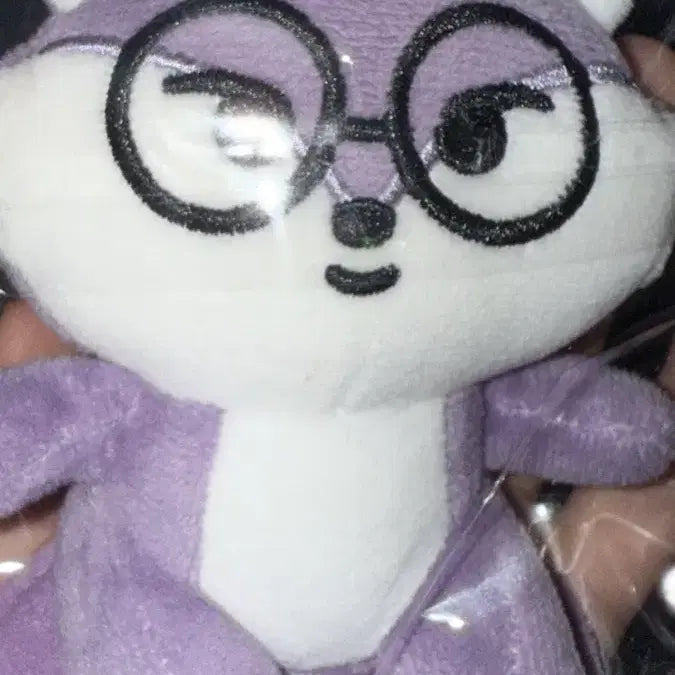 [BUNJANG] SEVENTEEN Wonwoo Doll Keychain / 원우 인형 키링 양도합니다