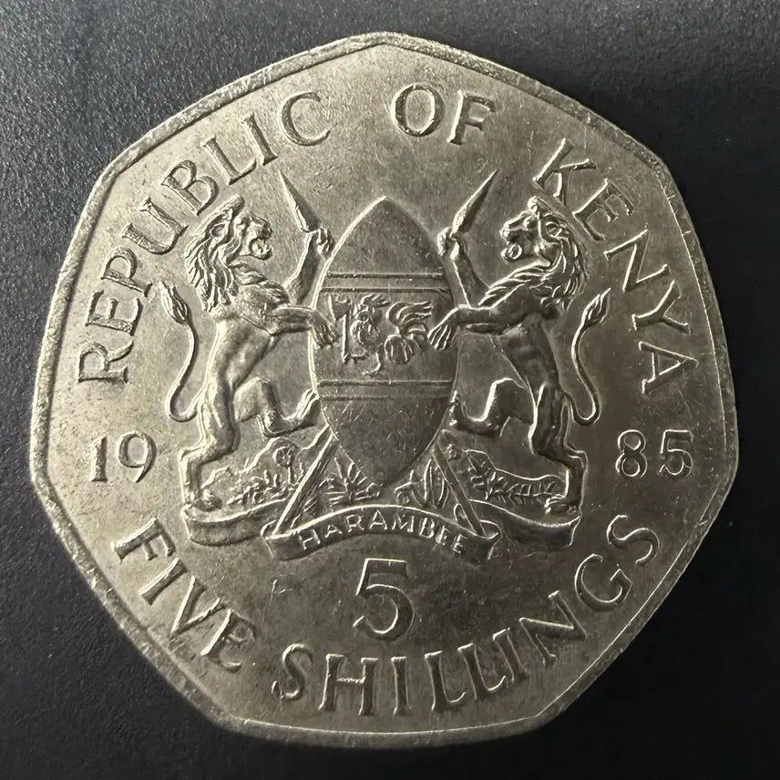 [BUNJANG] 1985 Kenya 5 Shillings Coin / 1985년 케냐 5실링 동전 w1528
