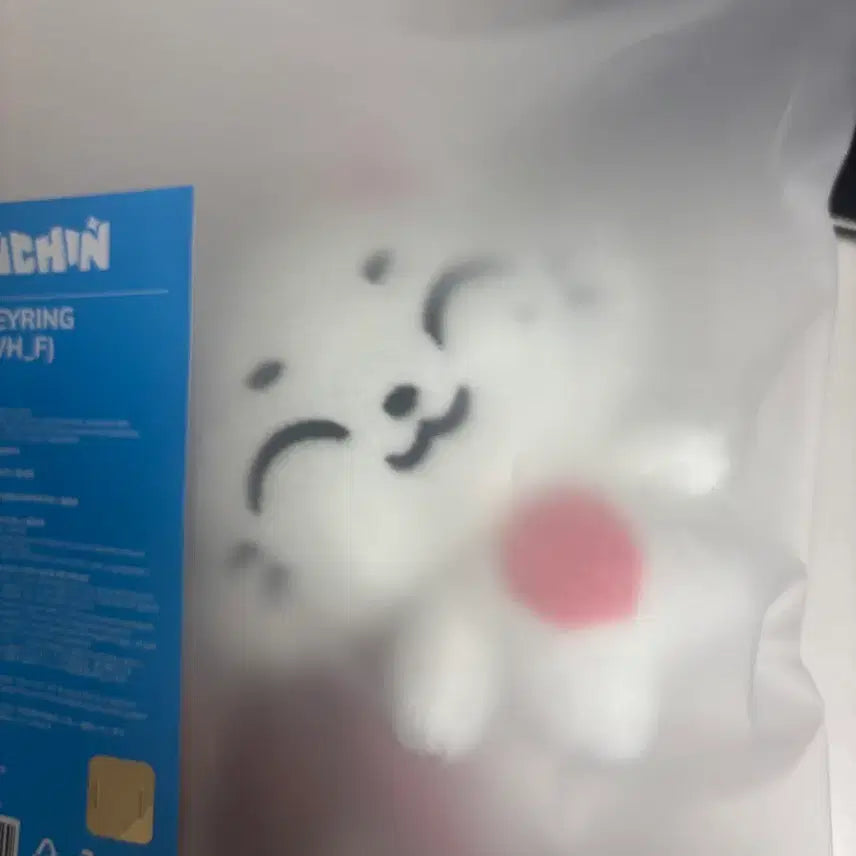 [BUNJANG] ENHYPEN Sunoo Enchin Kishu Doll / 엔하이픈 선우 인형 엔친 키슈 양도