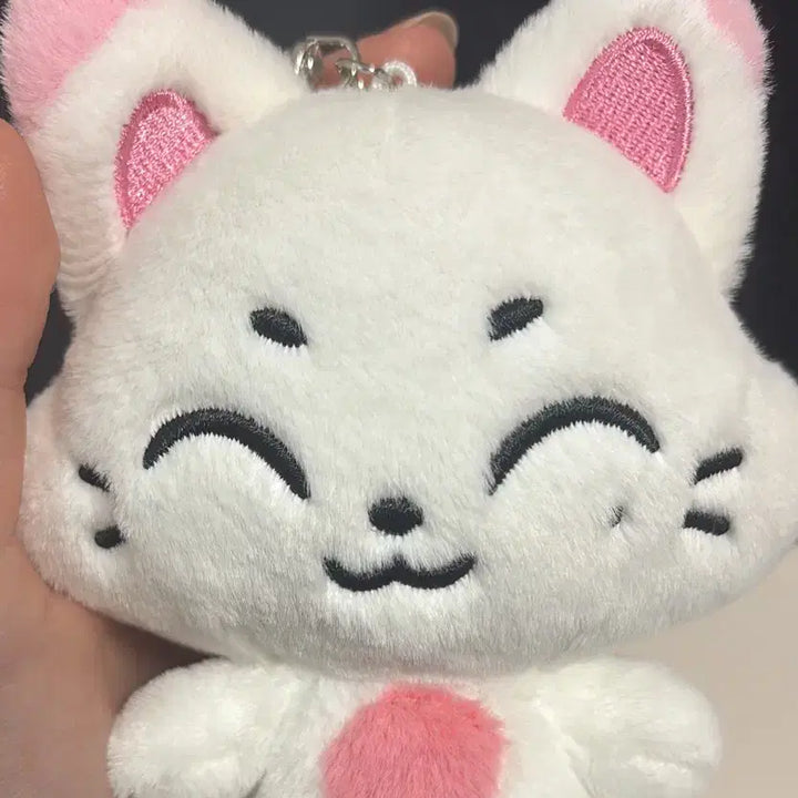 [BUNJANG] ENHYPEN Sunoo Enchin Kishu Doll / 엔하이픈 선우 인형 엔친 키슈 양도