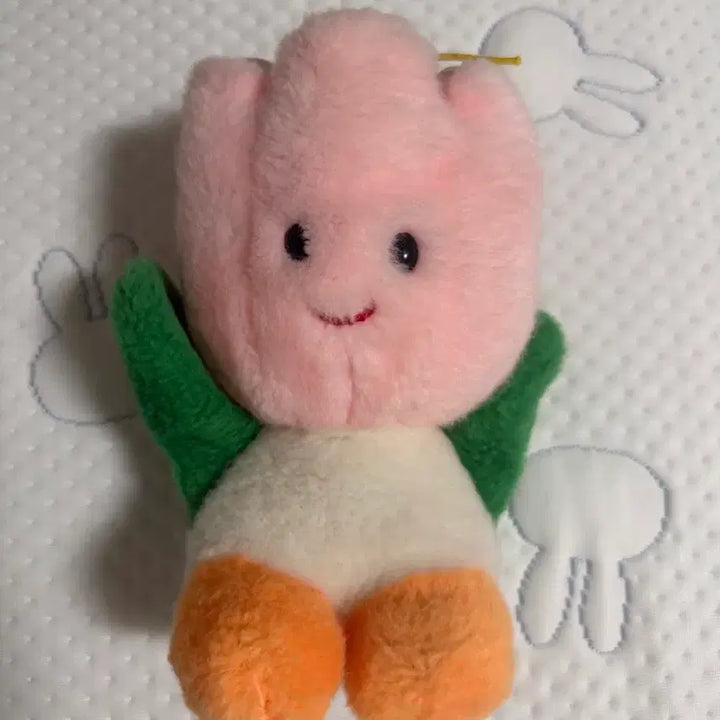 [BUNJANG] Huis Ten Bosch Tulip Doll / 하우스텐보스 튤립인형