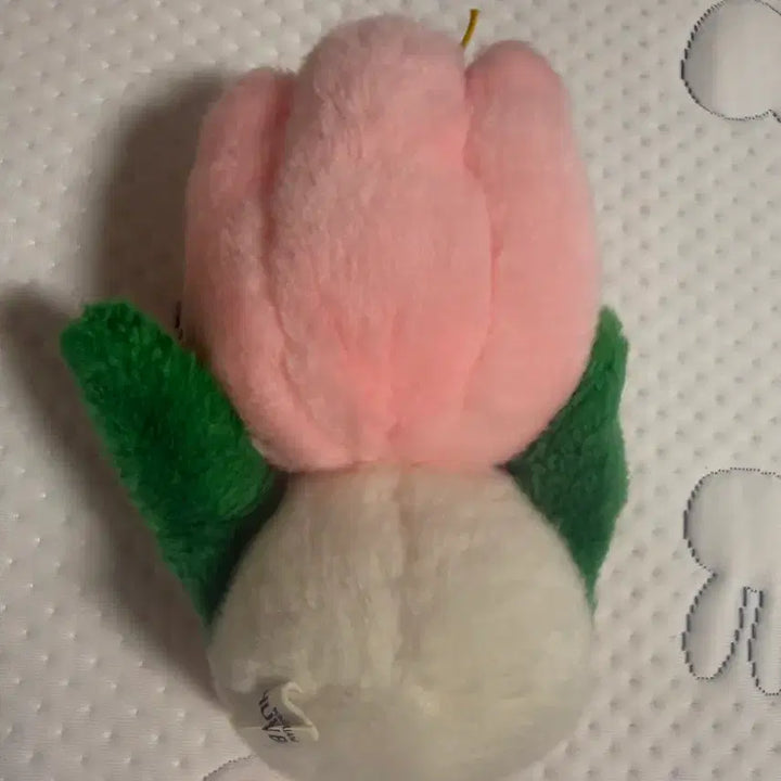 [BUNJANG] Huis Ten Bosch Tulip Doll / 하우스텐보스 튤립인형