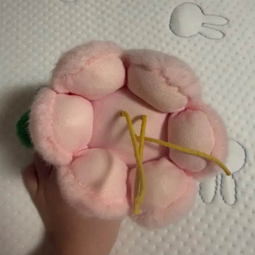 [BUNJANG] Huis Ten Bosch Tulip Doll / 하우스텐보스 튤립인형