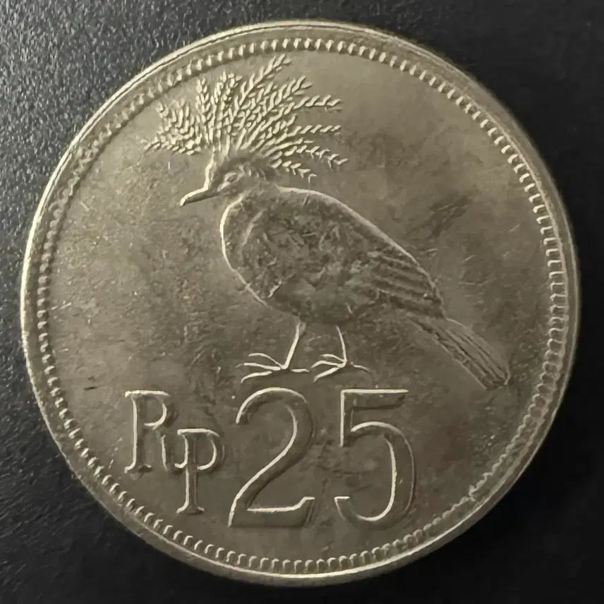 [BUNJANG] 1971 Indonesia 25 Rupiah Coin / 1971년 인도네아 25루피아 동전 w1545