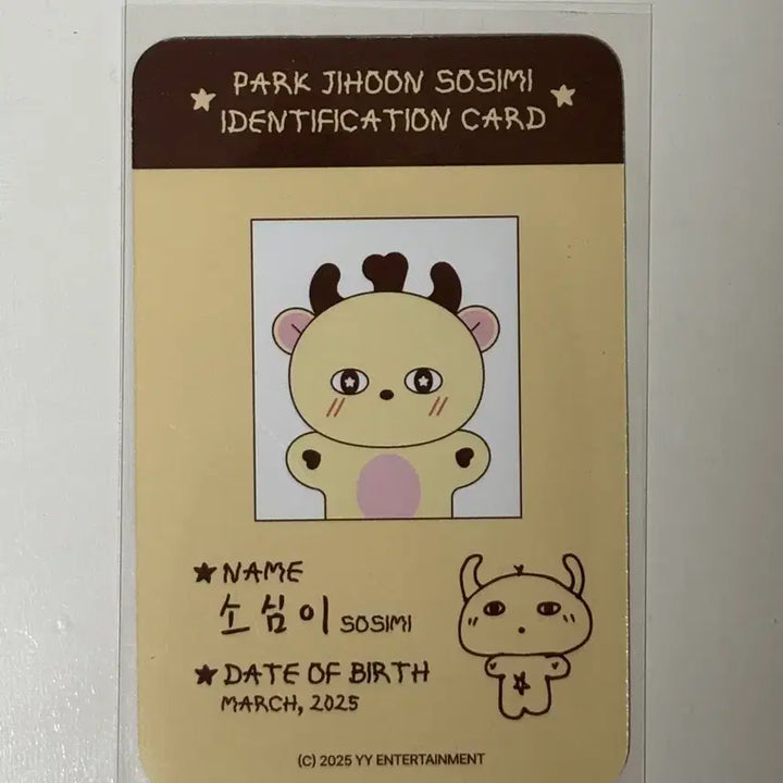 [BUNJANG] Park Jihoon Soshimi Photocard / 박지훈 소심이 포카
