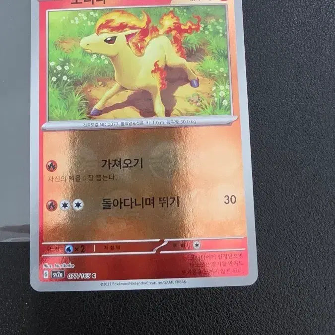 [BUNJANG] Pokémon Ponita Card Monster Ball SV2A / 포켓몬 카드 포니타 몬스터볼 sv2a