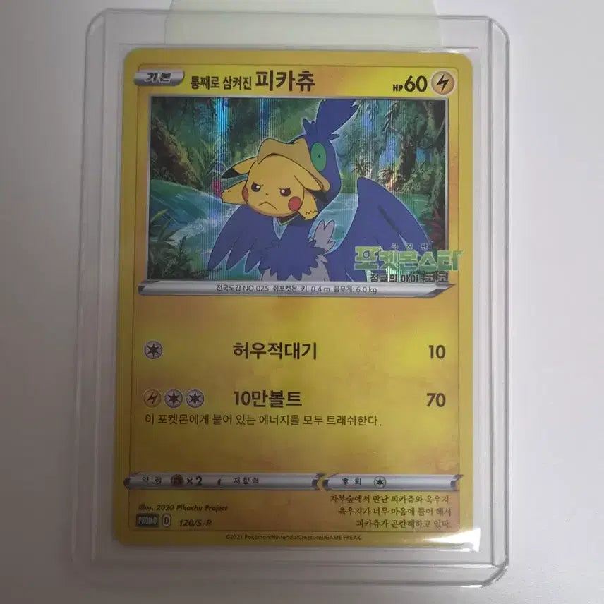 [BUNJANG] Pokemon Card Pikachu Swallowed Whole 120/S-P / [수집] 포켓몬 카드 통째로 삼켜진 피카츄 120/S-P