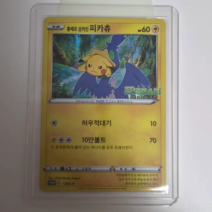 [BUNJANG] Pokemon Card Pikachu Swallowed Whole 120/S-P / [수집] 포켓몬 카드 통째로 삼켜진 피카츄 120/S-P