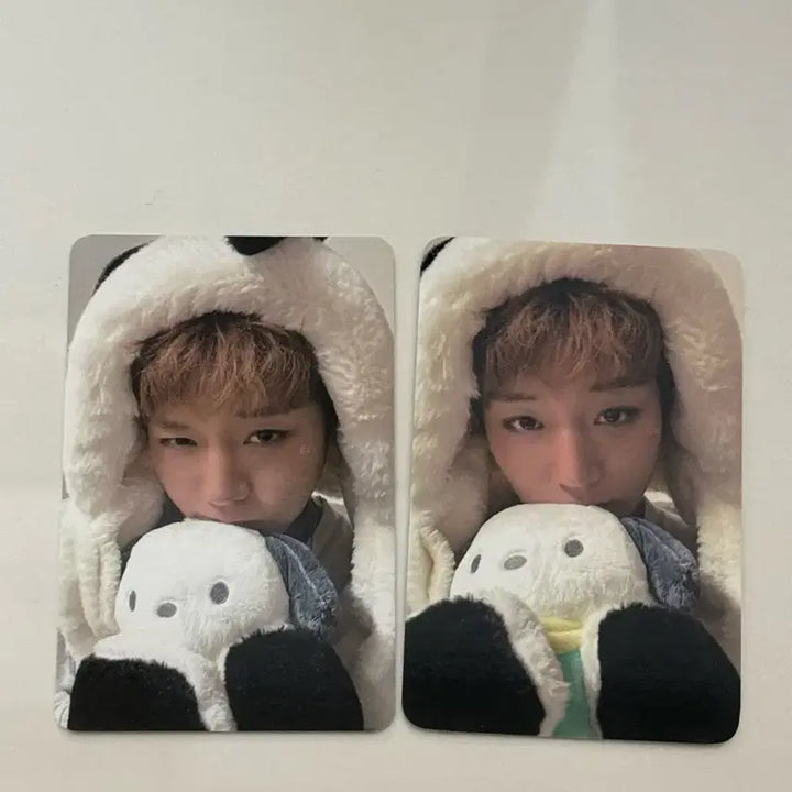 [BUNJANG] Park Ji Hoon Pochacco Photocard / 박지훈 포챠코 포카