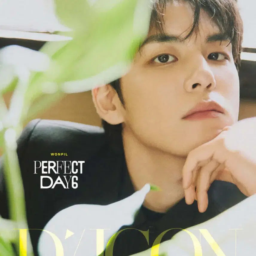 [BUNJANG] DAY6 Wonpil B Type Dicon Volume N 27 Sealed / 디아이콘 데이식스 원필 B타입 미개봉