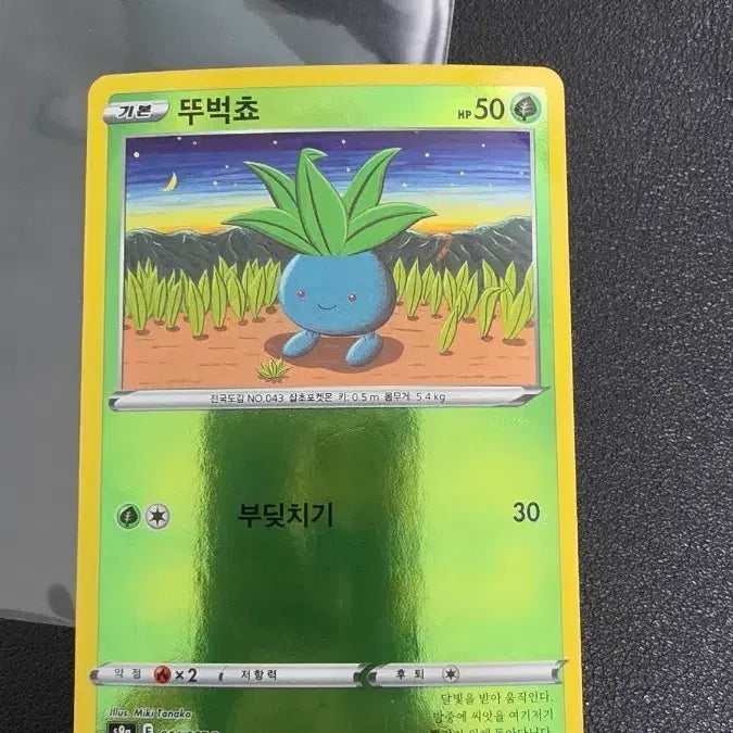 [BUNJANG] Pokemon Card Tsubockcho Monster Ball S9a / 포켓몬 카드 뚜벅쵸 몬스터볼 s9a