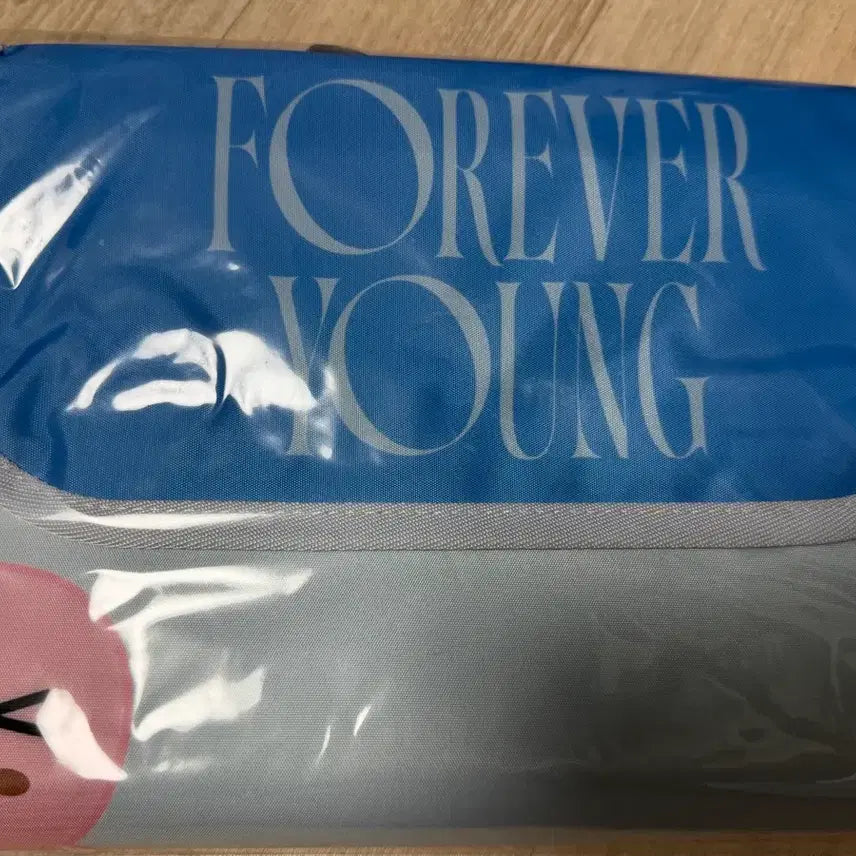 [BUNJANG] Day6 Picnic Folding Mat Sealed / 데이식스 피크닉폴딩매트 미개봉 원가양도