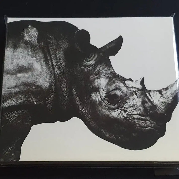 [BUNJANG] Mr. Children 1992-1995 Best Album / 미스터칠드런 베스트 앨범 Mr.Children 1992 1995 음반