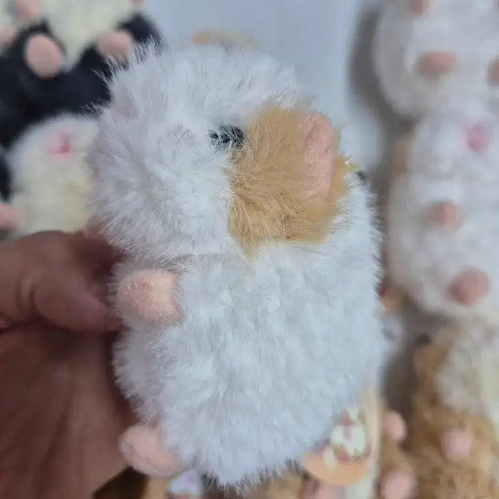 [BUNJANG] Morumo Togsang 8cm/12cm Doll Keychain (Guinea Pig) / 모루못토상 8cm 12cm 인형 키링 판매(기니피그 인형)