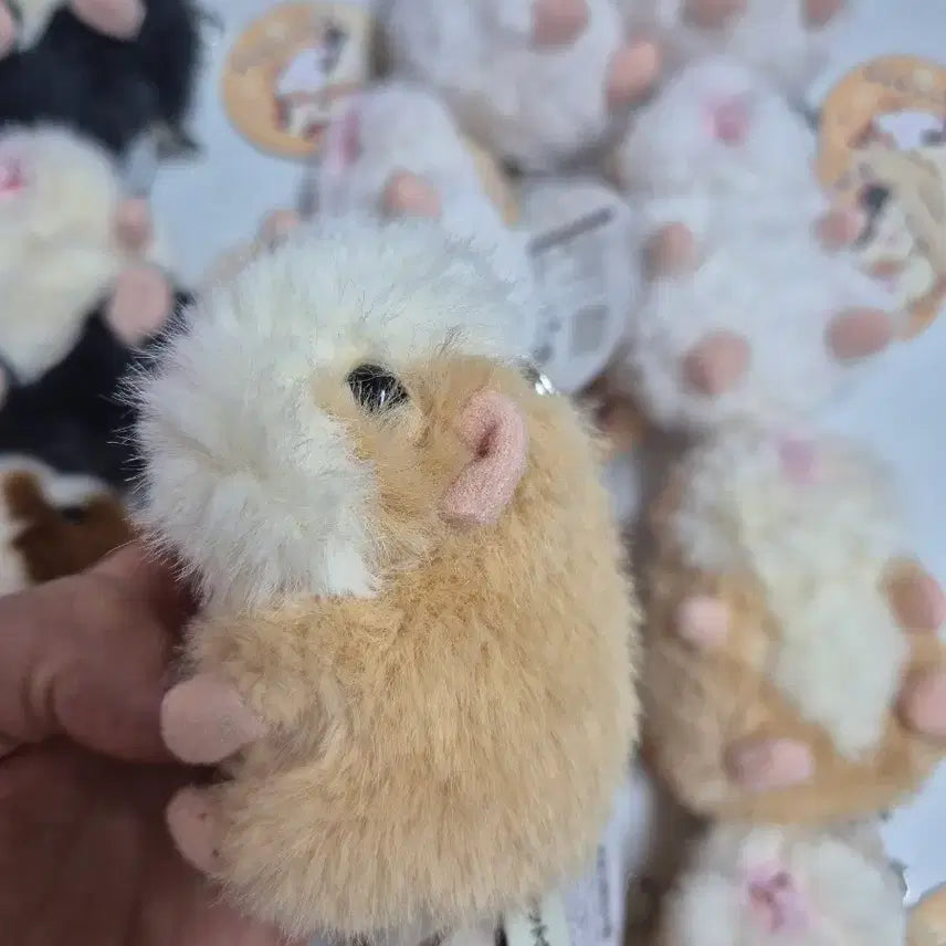 [BUNJANG] Morumo Togsang 8cm/12cm Doll Keychain (Guinea Pig) / 모루못토상 8cm 12cm 인형 키링 판매(기니피그 인형)