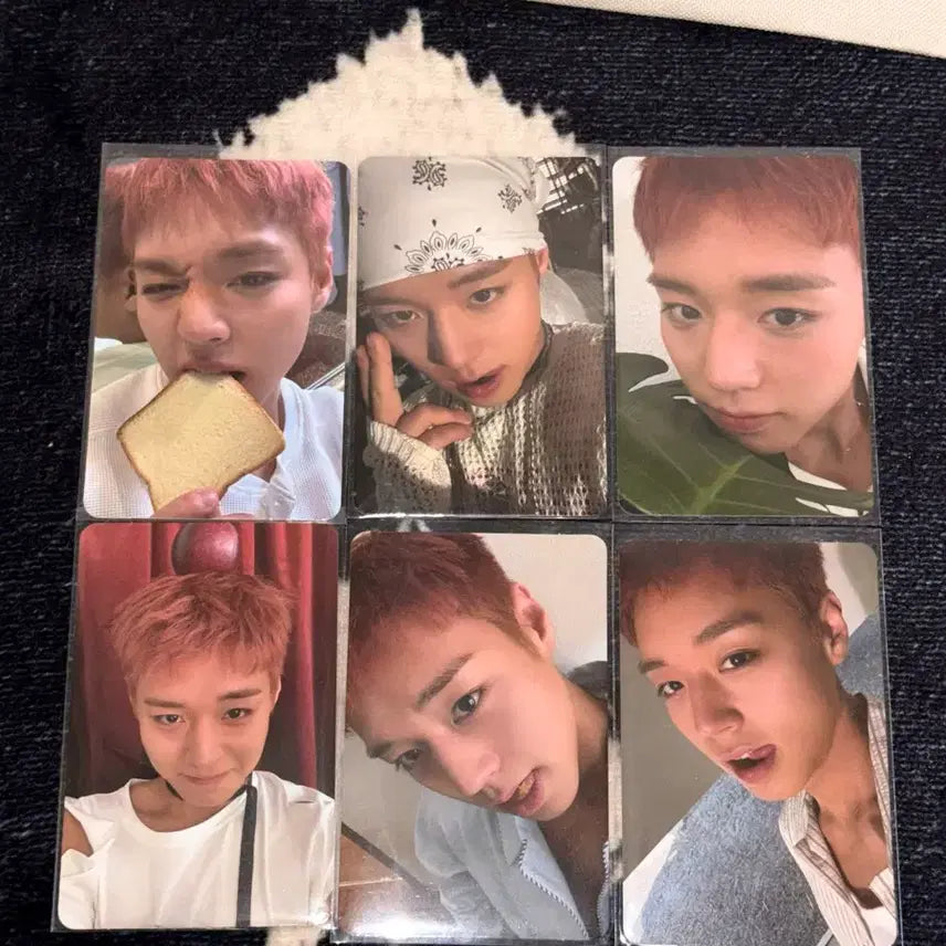 [BUNJANG] Park Ji Hoon Reflect Album Photocard Bundle Set / 박지훈 리플렉트 앨범 포카 일괄 판매