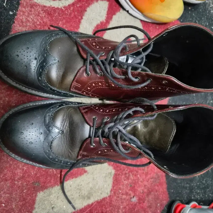 [BUNJANG] Dr. Martens Bentley Wingtip 8-Hole Boots / 닥터마틴 벤틀리 (Dr. Martens BENTLEY) 윙팁8홀
