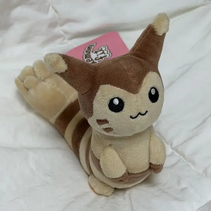 [BUNJANG] Pokemon Ddakori Fit Plush New / 포켓몬 다꼬리 fit 핏 누이 인형 새상품