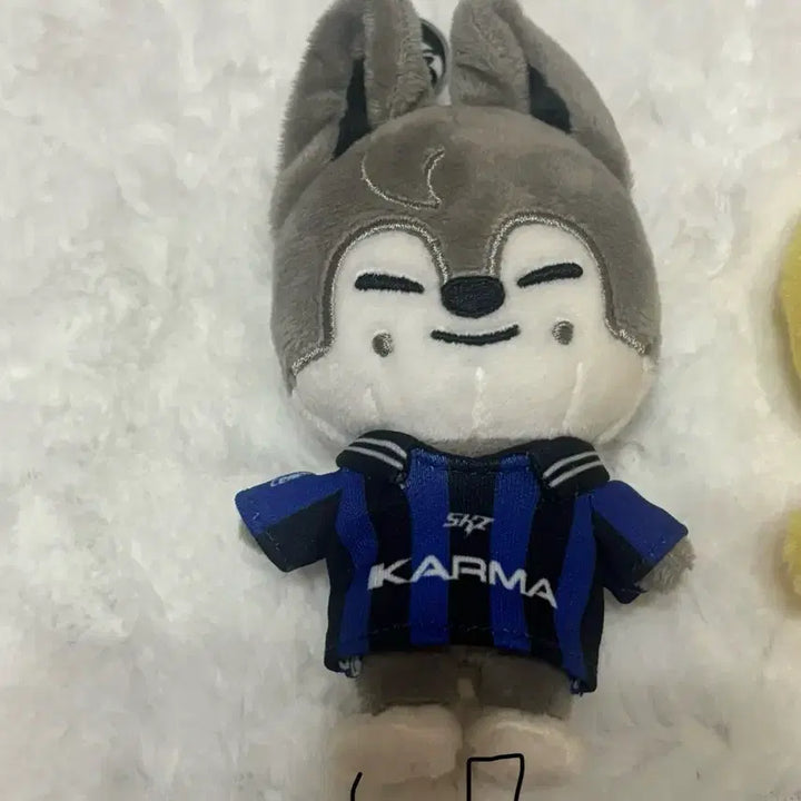 [BUNJANG] Stray Kids Merchandise Bundle Set / 스트레이키즈 굿즈 팝니다