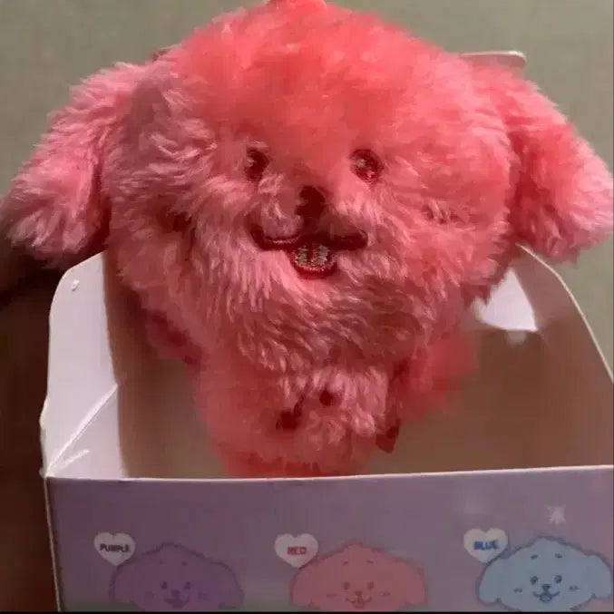 [BUNJANG] NCT WISH Color Wish Doll DENGTRIVER / nct wish 엔시티위시 컬러 위시돌 컬러돌 댕트리버 윗부부